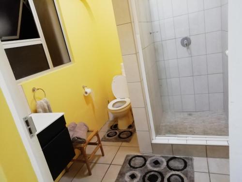 a bathroom with a shower and a toilet at Poolside Guest House in Port Shepstone