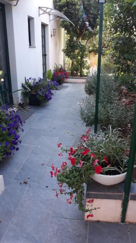 Κήπος έξω από το Apartments Suljic - Cash Only Property