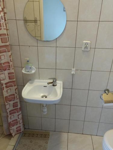 a bathroom with a sink and a mirror at Willa Rosa in Kajetany