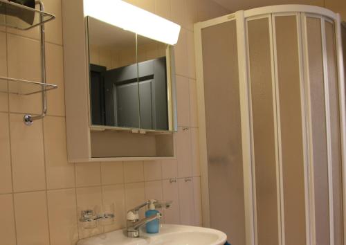 uma casa de banho com um lavatório, um espelho e um chuveiro em Mountain Suite em Brienz