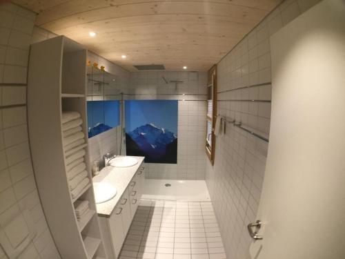 Koupelna v ubytování Apartment Apartment Alp 46 by Interhome