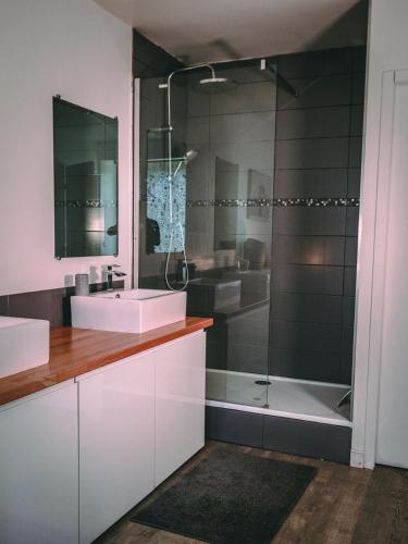 une salle de bain avec un lavabo et une douche dans l'établissement La Belle Landaise 1809 Gîte Arridoulet 2, à Peyrehorade