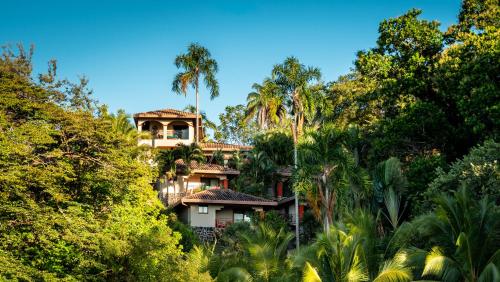 una casa en medio de un bosque de árboles en Seagull Cove Resort, en Boca Chica