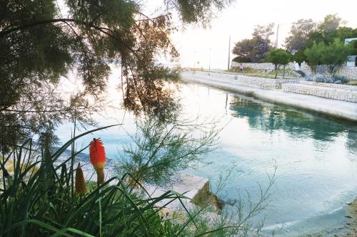 a red fire hydrant next to a body of water at Apartment Rino, only 30m from the sea in Pag