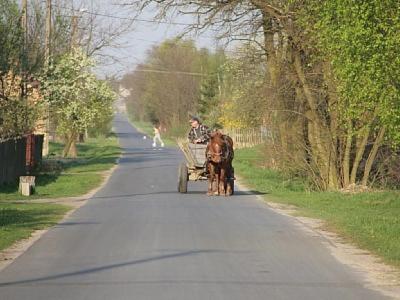 a man driving a horse drawn carriage down a road at Domek Drewniany in Nowa Wola