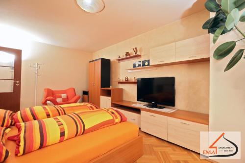 Schlafzimmer mit einem Bett und einem Flachbild-TV in der Unterkunft Apartament Ema Baile Felix in Baile Felix