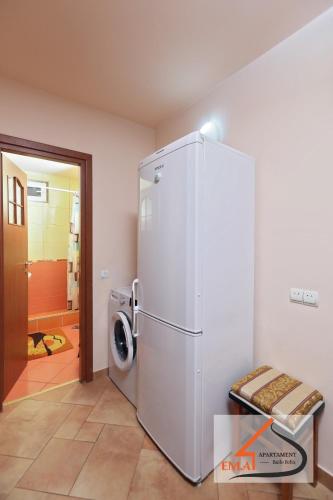 a white refrigerator in a room with a washing machine at Apartament Ema Baile Felix in Baile Felix