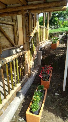 Arkdia Glamping Zone – Photos 3