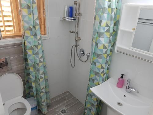 a bathroom with a toilet and a sink and a shower at Nazareth View in Naẕerat ‘Illit