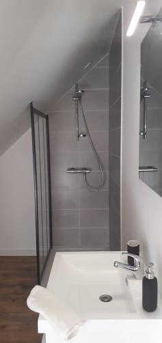 een badkamer met een douche en een wastafel bij Chez Emile in Cherrueix