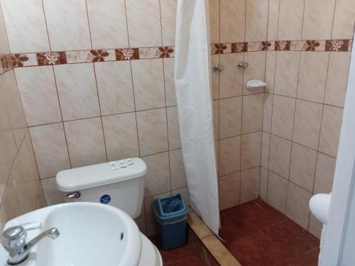 y baño con aseo y ducha. en Misti Hostel B&B, en Arequipa