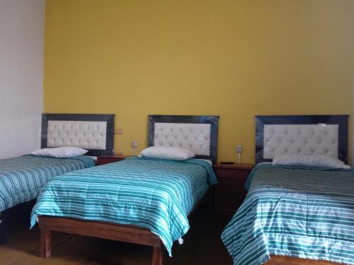 a room with two beds with blue and green sheets at Misti Hostel B&B in Arequipa