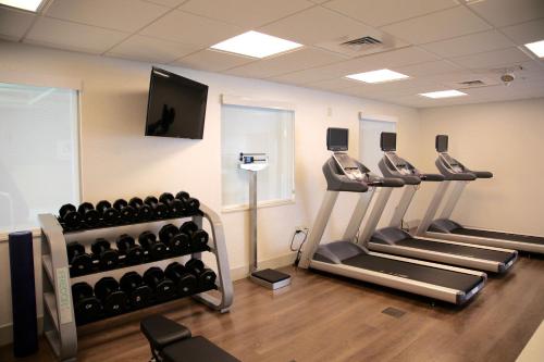 a gym with rows of treadmills and a television at Holiday Inn Express & Suites Oswego by IHG in Oswego