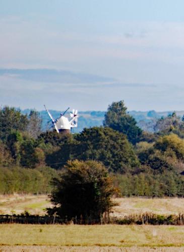 a plane flying over a field with trees at Barnham Court Farm in Barnham