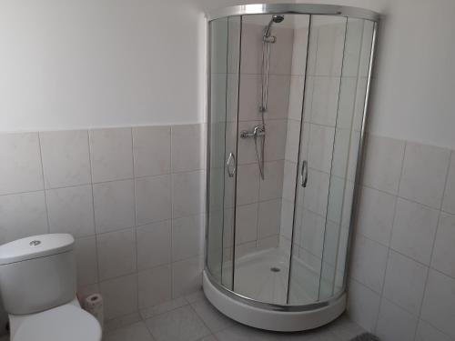 a shower stall in a bathroom with a toilet at 1 Zimmer Wohnung für 1-2 Gäste in Gößnitz