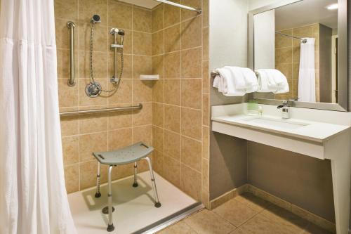 Koupelna v ubytování Holiday Inn Rapid City - Rushmore Plaza, an IHG Hotel