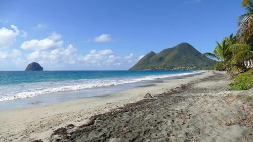 a sandy beach with palm trees and the ocean at Bleu Cannelle et Petimo in Le Diamant