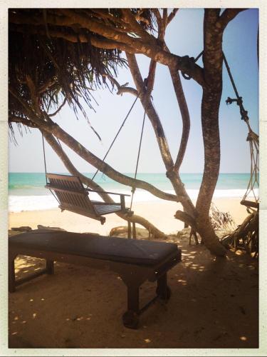 a swing hanging from a tree on the beach at The Pleasure Kosgoda in Bentota