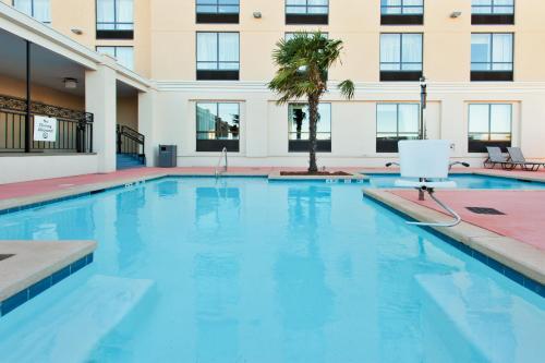 a large swimming pool with a palm tree in front of a building at Holiday Inn Shreveport Downtown by IHG in Shreveport