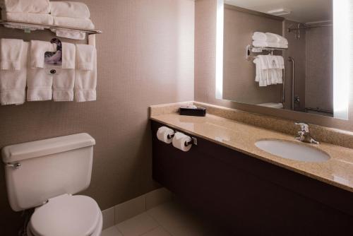 a bathroom with a toilet and a sink and a mirror at The Arch Convention Hotel in Saint Louis