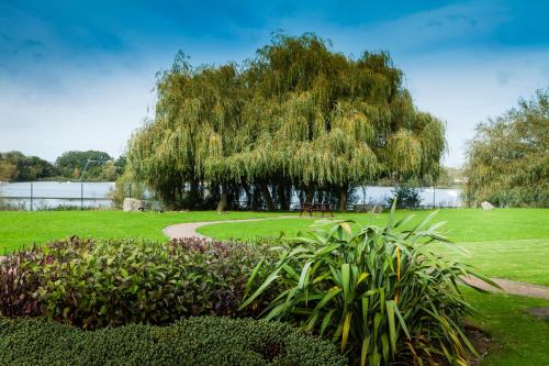 a weeping willow tree in a park with a bench at Holiday Inn Basildon by IHG in Basildon