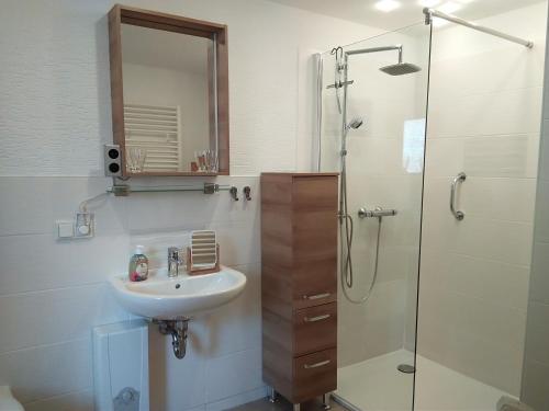 ein Bad mit einem Waschbecken und einer Dusche in der Unterkunft Ferienwohnung Graul in Wernigerode