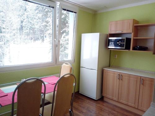 een keuken met een tafel, een koelkast en een raam bij Apartmán Špičák in Jiřetín pod Bukovou
