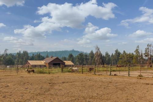 a horse standing in a field next to a fence at 12 Whistler in Sunriver