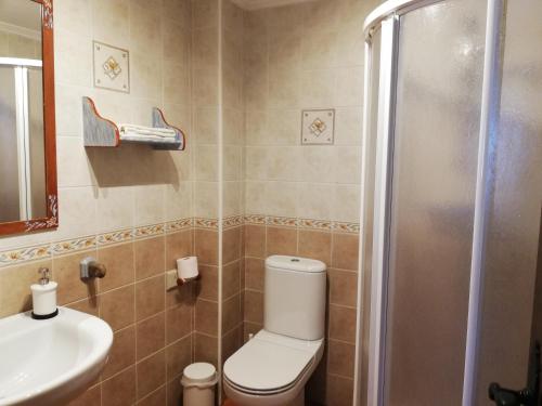 a bathroom with a toilet and a sink and a shower at Casa Rural Las Condesas in Santo Domingo de Silos