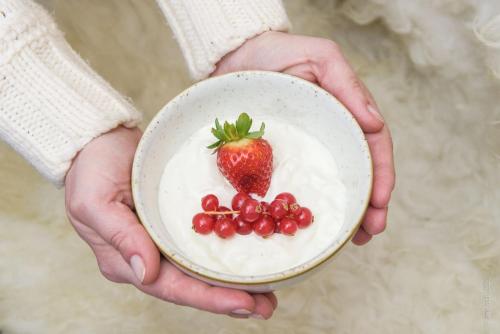 Jídlo v hotelu nebo okolí