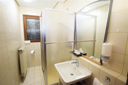 a bathroom with a sink and a shower with a mirror at Apartment Möhringen in Stuttgart