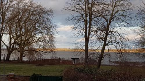 a view of a body of water with trees at Ferienwohnung Sundkieker in Stralsund