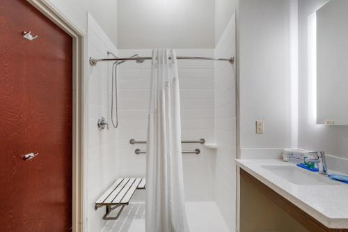 a bathroom with a shower and a sink at Holiday Inn Express Houston-Alvin by IHG in Alvin