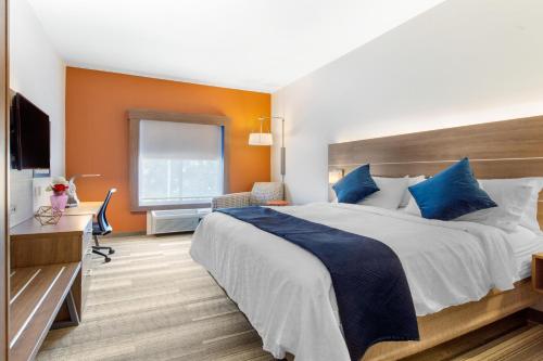 a bedroom with a large bed with blue pillows at Holiday Inn Express Houston-Alvin by IHG in Alvin
