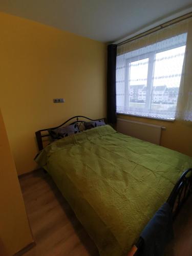 a bedroom with a green bed and a window at Babilonas in Plungė