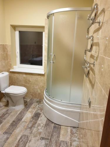 a bathroom with a shower and a toilet at Babilonas in Plungė