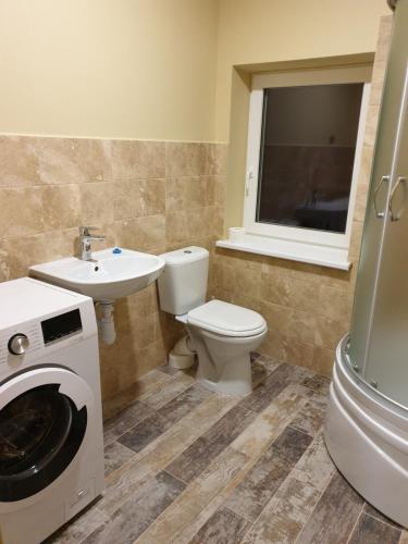 a bathroom with a toilet and a sink and a washing machine at Babilonas in Plungė