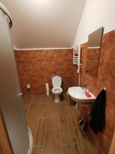a bathroom with a toilet and a sink at Babilonas in Plungė