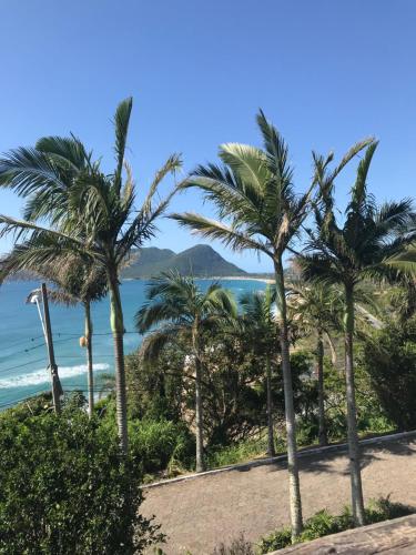 un groupe de palmiers sur une plage dans l'établissement A Casinha, à Florianópolis