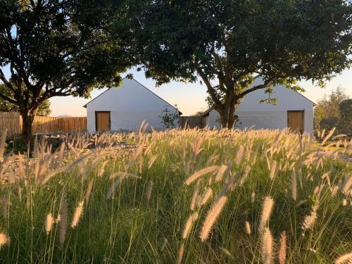two white barns in a field of grass with trees at Roukh Kiri Khaoyai, The Centara Collection in Pak Chong