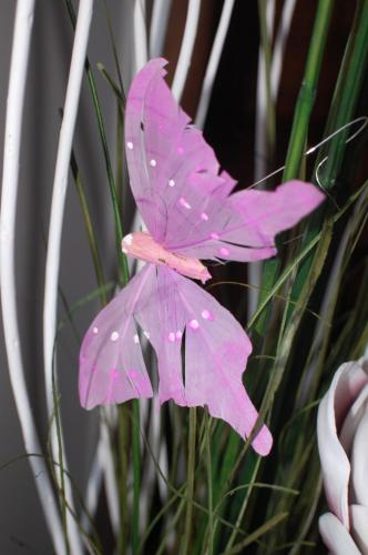 a pink butterfly sitting on top of a plant at Le casette di Frà al Bondì in Santa Severa
