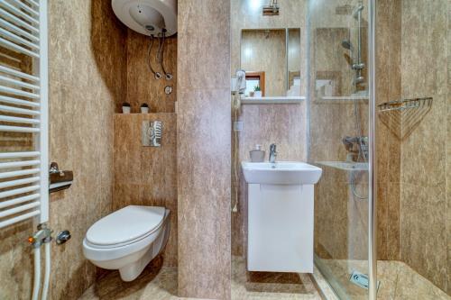 a bathroom with a toilet and a shower and a sink at Zlatibor Hills 31 in Zlatibor