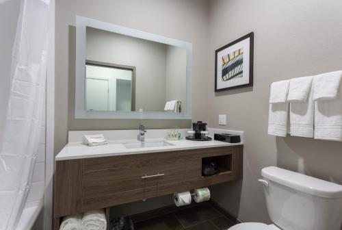 Holiday Inn San Marcos Convention Center, an IHG Hotel tesisinde bir banyo