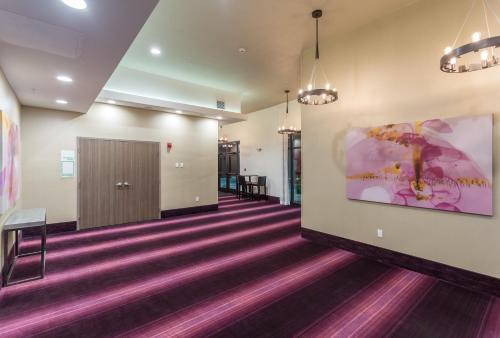 a hallway of a hospital with purple carpet at Holiday Inn San Marcos Convention Center by IHG in San Marcos