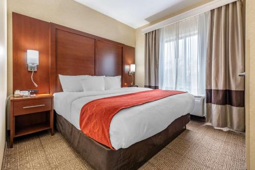 Habitación de hotel con cama grande y ventana en Comfort Suites South, en Elkhart