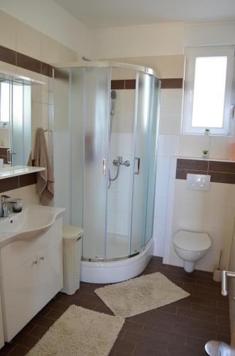 a bathroom with a shower and a toilet and a sink at Apartment Heaven Hill in Jadranovo