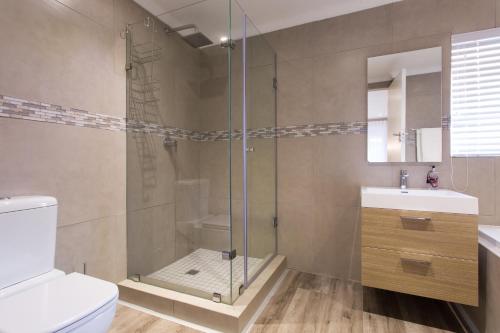 a bathroom with a shower and a toilet and a sink at The Aviary in Pretoria