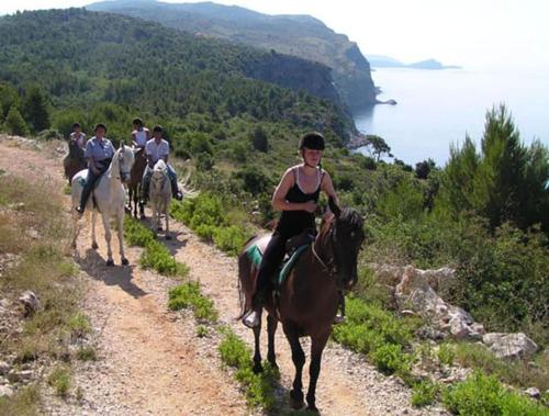 a group of people riding horses down a dirt road at Apartments Grand Pinea in Čilipi