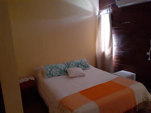 a bedroom with a bed with pillows on it at hosteria Don López in Colón