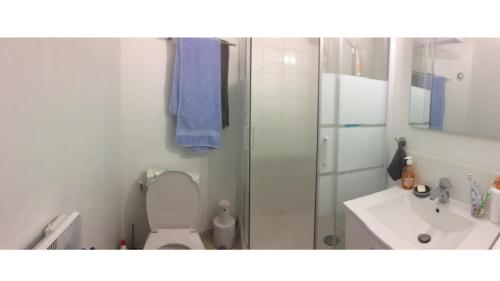 une salle de bain avec une douche, des toilettes et un lavabo dans l'établissement gite de l'église, à Laroque